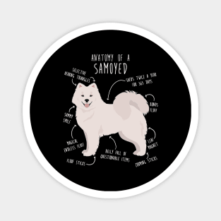 Samoyed Dog Anatomy Magnet